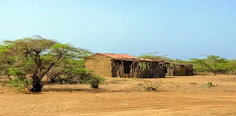 Desnutrición en la Guajira y delitos de cuellos blanco: Un estudio socio jurídico sobre la destinación de los recursos del Programa de Alimentación Escolar